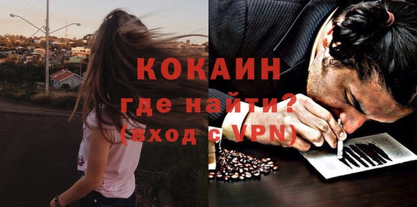 не бодяженный Алексин